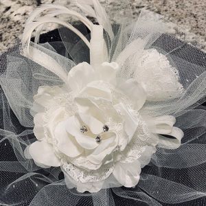 NWT David’s Bridal Hair Fascinator